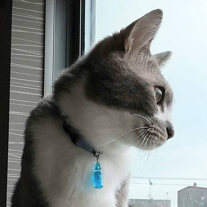 3289d795 d706 40a0 83b3 7513359fc320 1620109939720