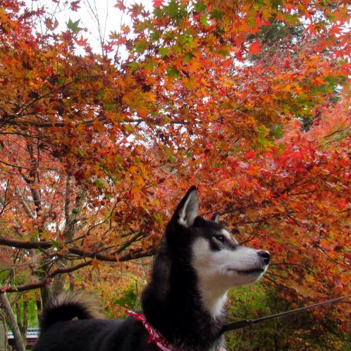 3289f14d 3c20 47b9 a1c1 c76acf7f3404 1542610987833