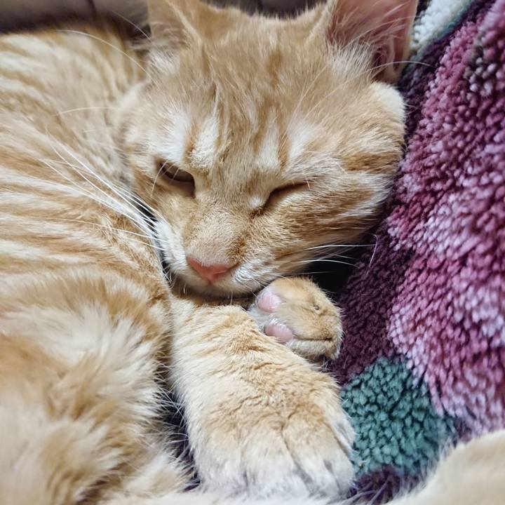 3289f215 3401 4b31 948e faa04d246b1f 1638449820483