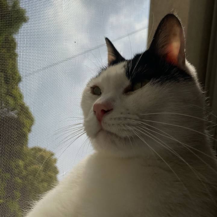 3289fbd8 7da5 4beb b370 ca27d04ec870 1587860368621