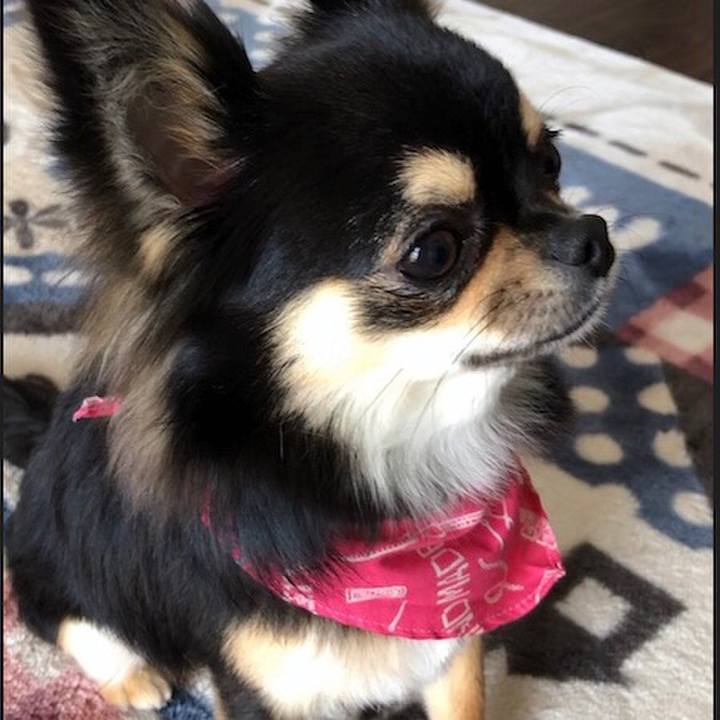 328a1bc1 da32 4cf9 89e3 1f19f2b8c31b 1552015453437