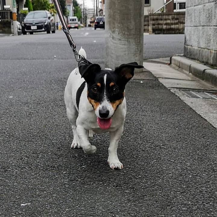 328a22c7 868d 47d8 83dd 05783962000b 1630853187528