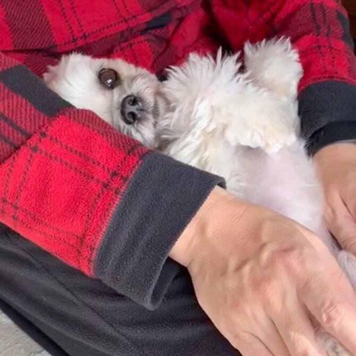 328aab74 5436 4a42 8212 dc04bbf42892 1551006543487