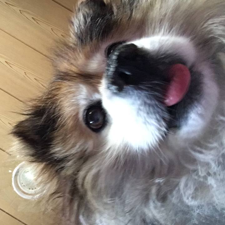 328ab9f7 381a 456e 888d f36f4d82a24f 1552345956745