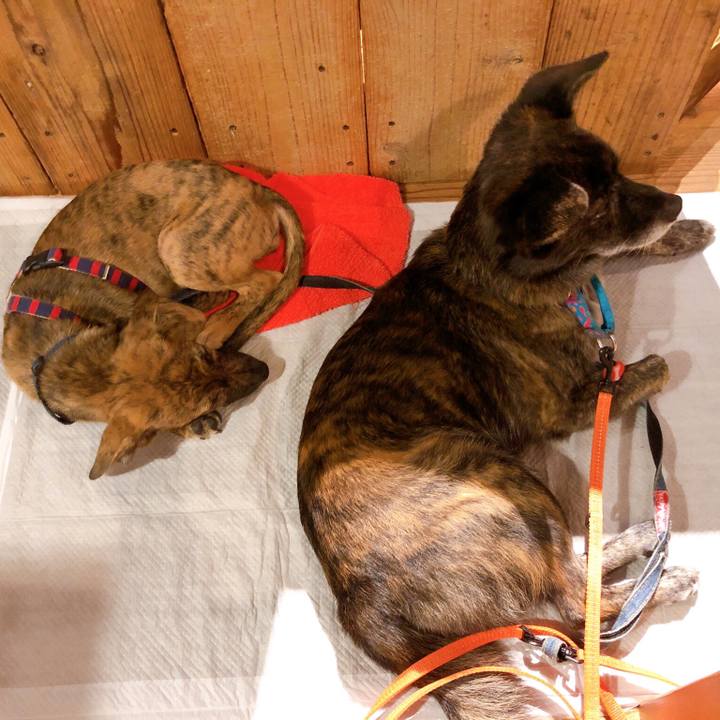 328b03ea 3f32 4c9a 8538 137450903963 1568992427358