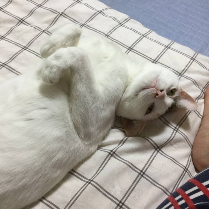 328b2be0 9d3b 4689 8ec7 254bfae34efd 1593830014311