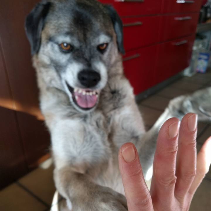 328b4946 d8e7 469f 827a d38127b258fd 1597017278618