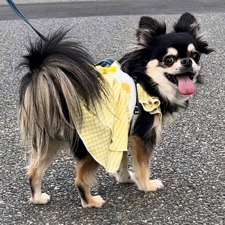 328b5daf 0a22 4006 88b2 b08bcad3bcb8 1687643892498