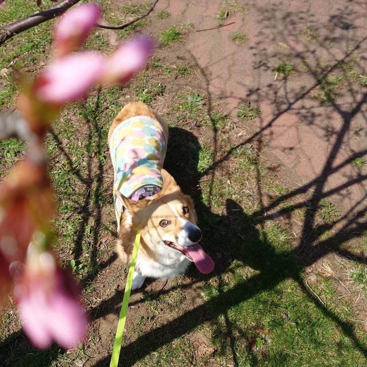 328b6a26 9e57 41ac a35c 826d59647ef5 1776568645988