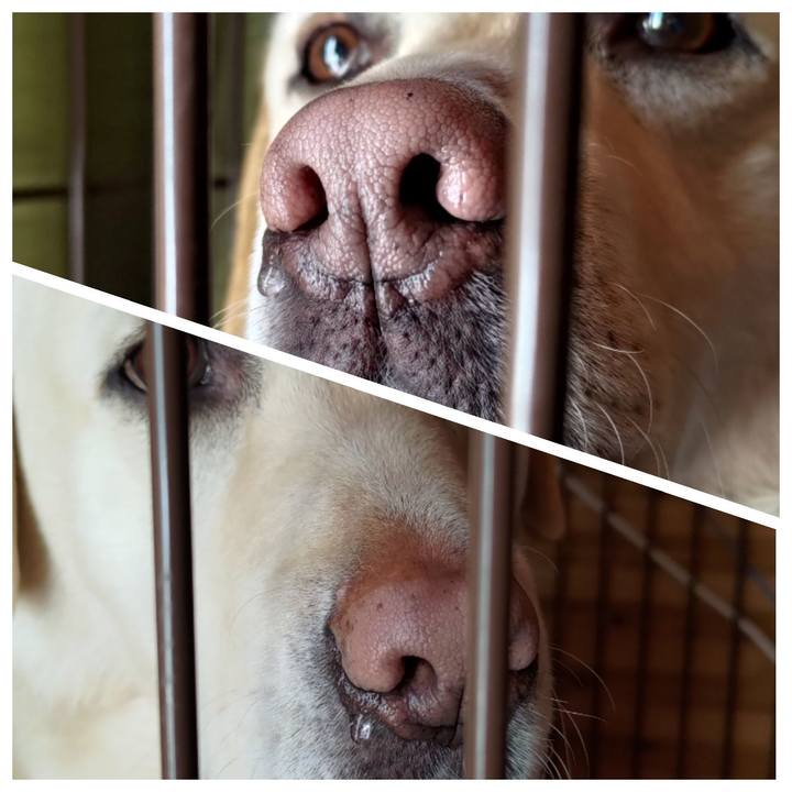 328b6b0b 8ca2 4b3f b289 c37feefdd461 1645673836791