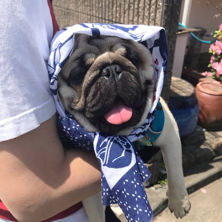 328b7909 5a32 4c78 afd8 dab6bc3320ca 1557032633174