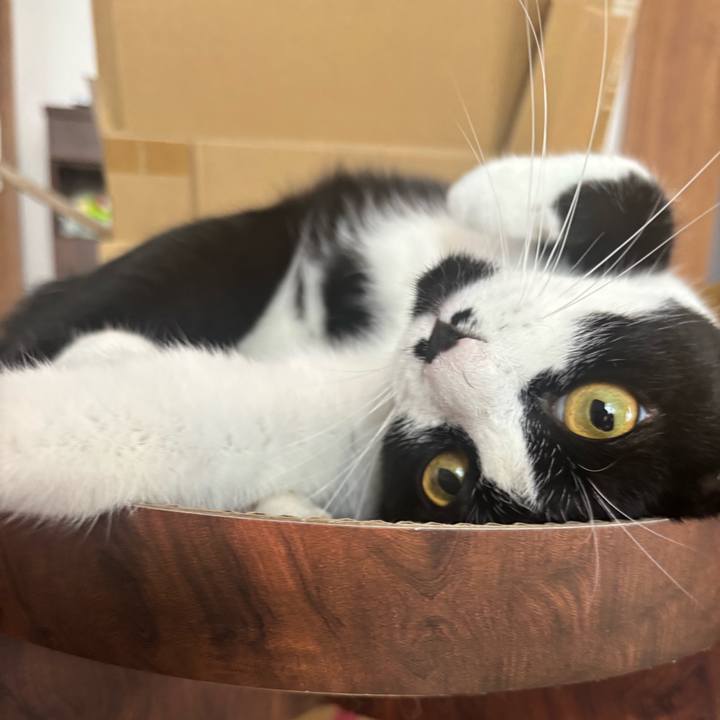 328bbf87 9a4f 4019 883d 442c6ea235f5 1758244619014