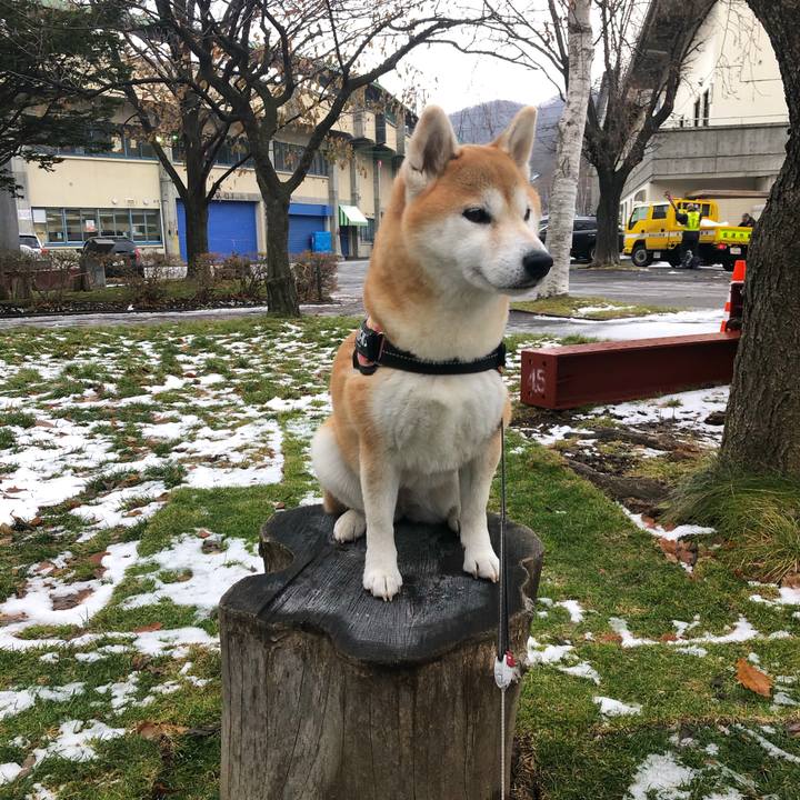 328bfb81 7fbb 4330 a54b 5fe293d0b3ea 1576542189028