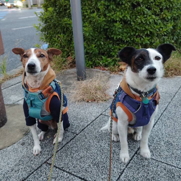 328c2d48 ae11 4edb ab11 9f80300cbe5a 1732397853034