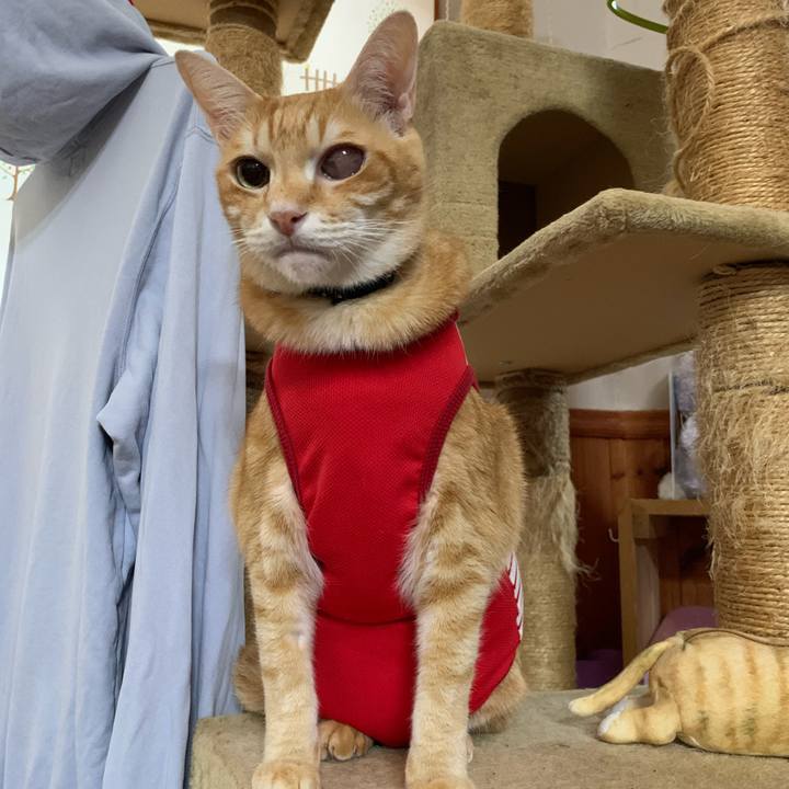 328c39d7 4301 4078 8c82 c3ac37f331d6 1606257039860