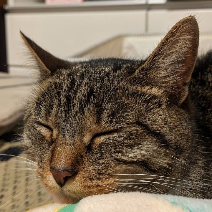 328c5a54 8f3e 4a7d a6f9 a9b27758d43a 1715696473197