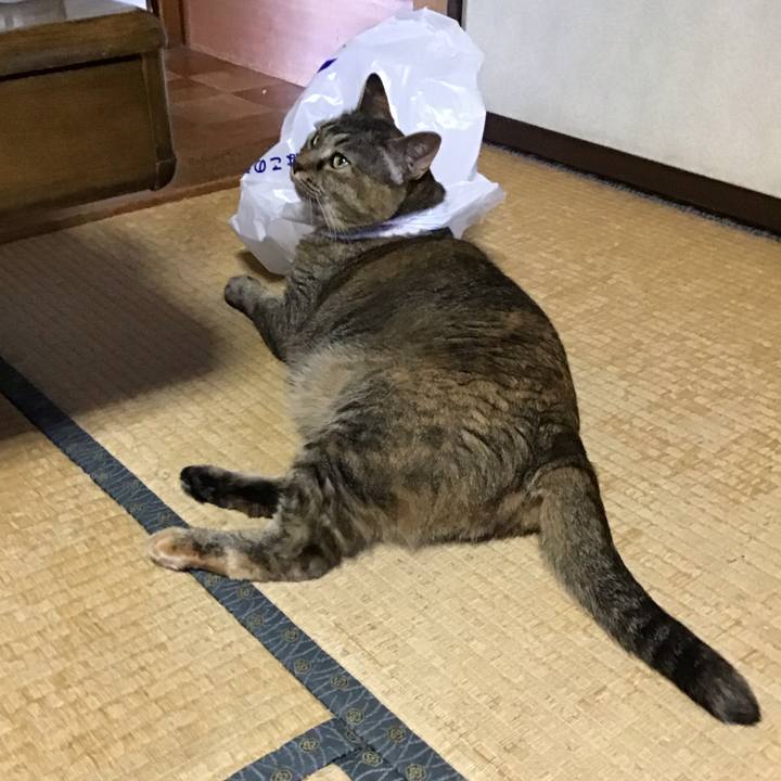 328c91be d3bf 4ff0 a0bc 36b9b591a7ac 1752479416830