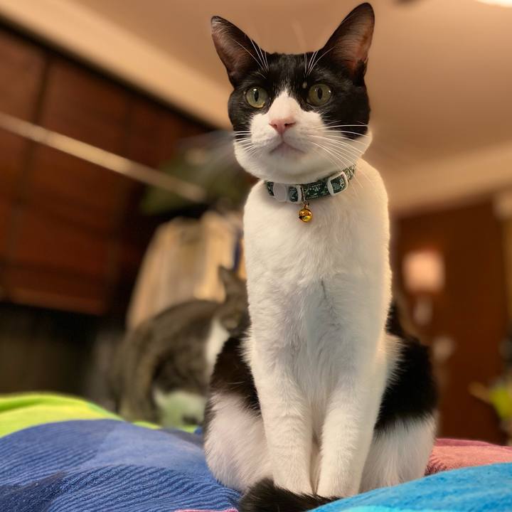 328caa79 78cb 46bd 971e 3ac469040fd1 1763292884770