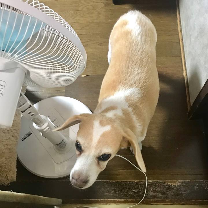 328ccacd ce03 4ff6 b5bd 10a4a6860e4a 1568260775578