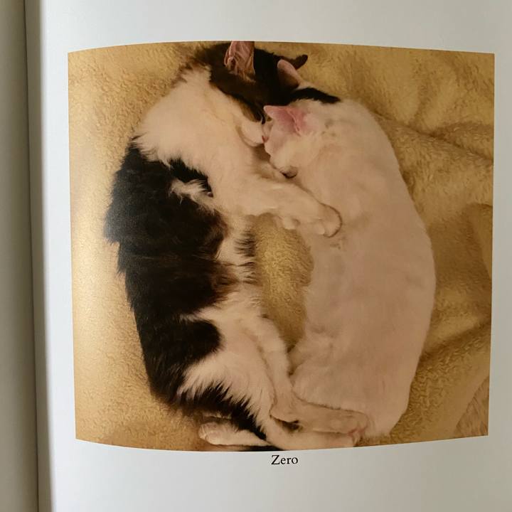 328ce072 770a 4c2c 9a7b e046ab7465ea 1663201424536