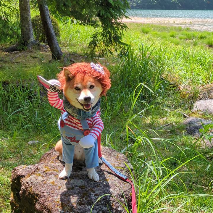 328d0375 a752 4cf9 9be3 89043ea9d7d2 1752064767449