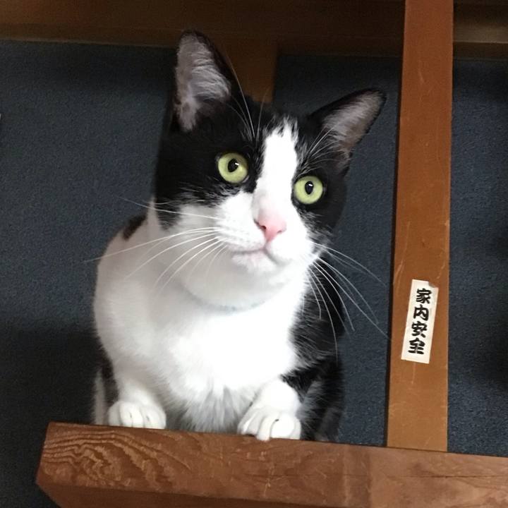 328d0a97 67eb 4ed0 be29 eccad7164db6 1719219948142