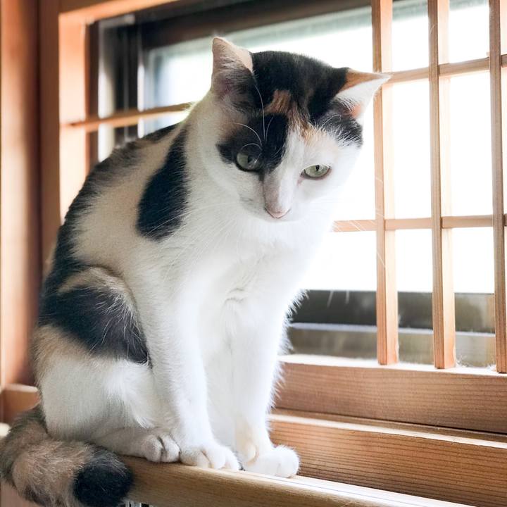 328d15cc d74b 4ff0 b00a 1468343d02af 1534948612437