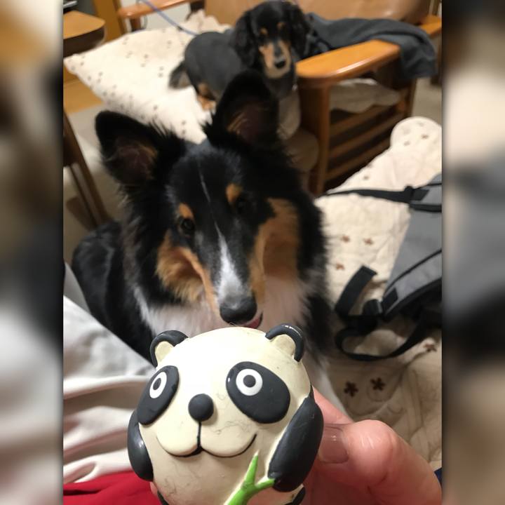 328d172d ffbf 4386 8213 5906f5318efc 1525813844498