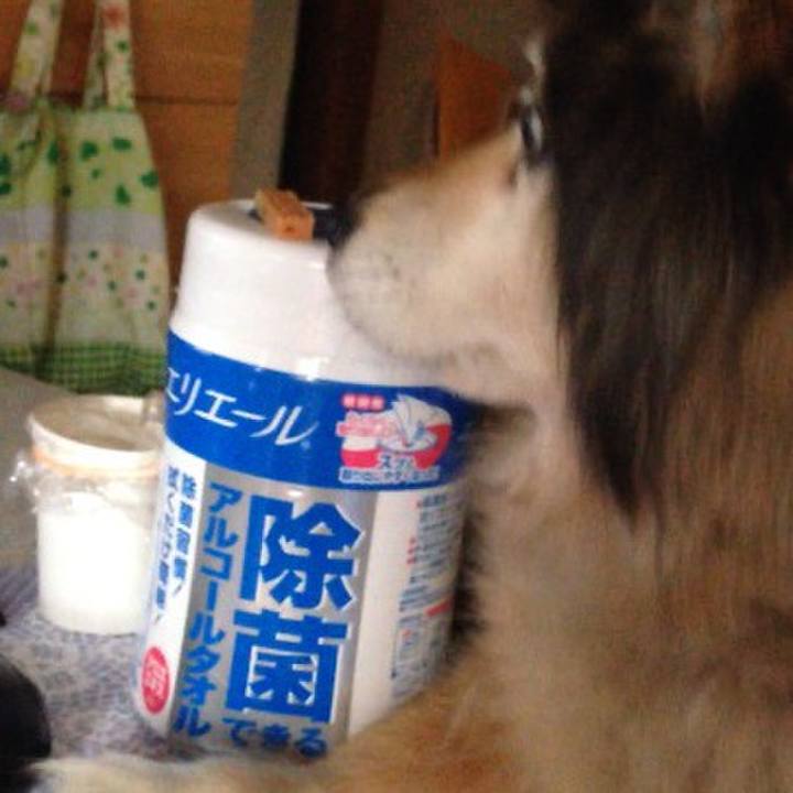 328d3a50 7949 40ce a785 6f6eef73da37 1615679207107