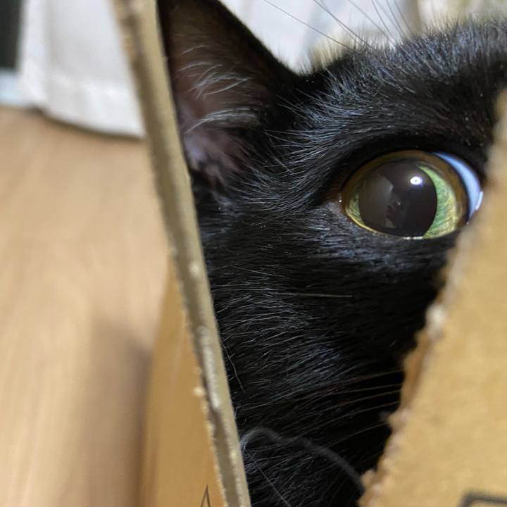 328d7957 8ec1 44ff 98ec 12131951afc0 1633348454378