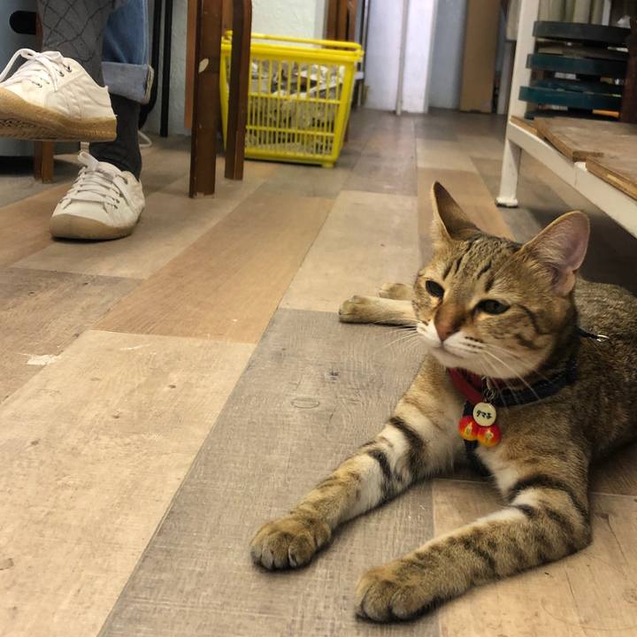 328d9045 8628 496d bdd5 ea008974e803 1588758333350