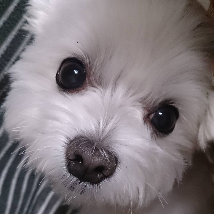 328d9957 dbe7 40d2 b5f7 3374cad61c3c 1513300190738