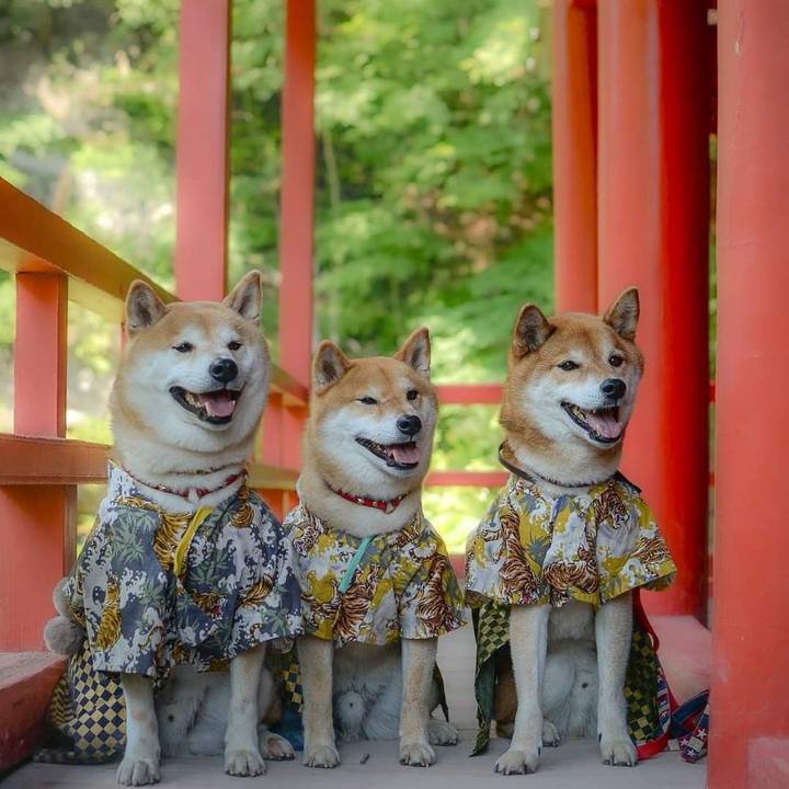 328dc269 e02e 4117 84a4 861151c95e15 1689315363121