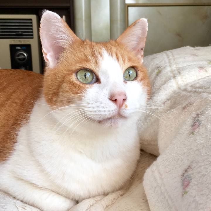 328e0930 b692 4105 8480 fb164a8475a1 1575957949656