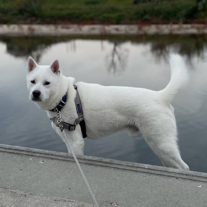 328e0f38 4468 482d b13d 75f4c24c7dee 1668813195156