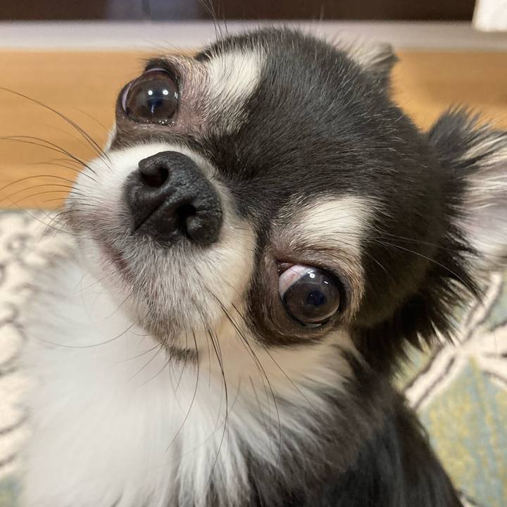 328e1a52 a56f 4ccd b60f d10e5c3c16aa 1619909961966