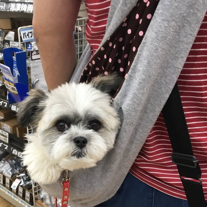 328e71a3 0d3a 4257 84a2 fe25722eec6f 1531651522114