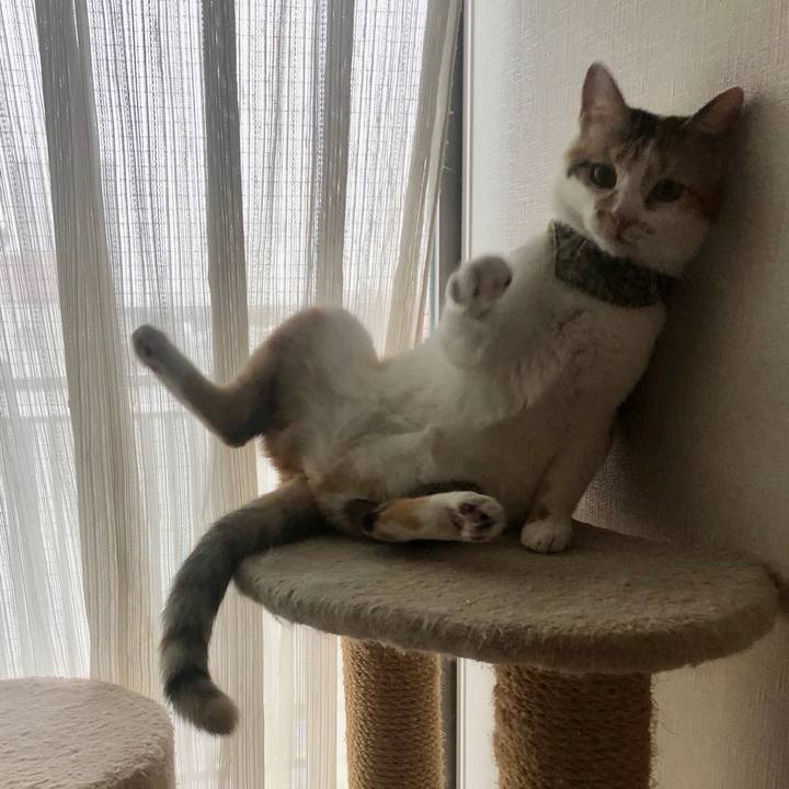 328f324b ec88 42f0 acf5 7578bf471768 1595487196932