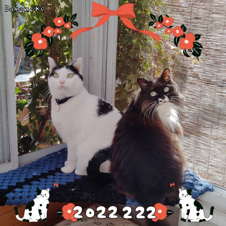 328f4ecc c6ea 4215 aa40 dd21acdf6882 1645499933295