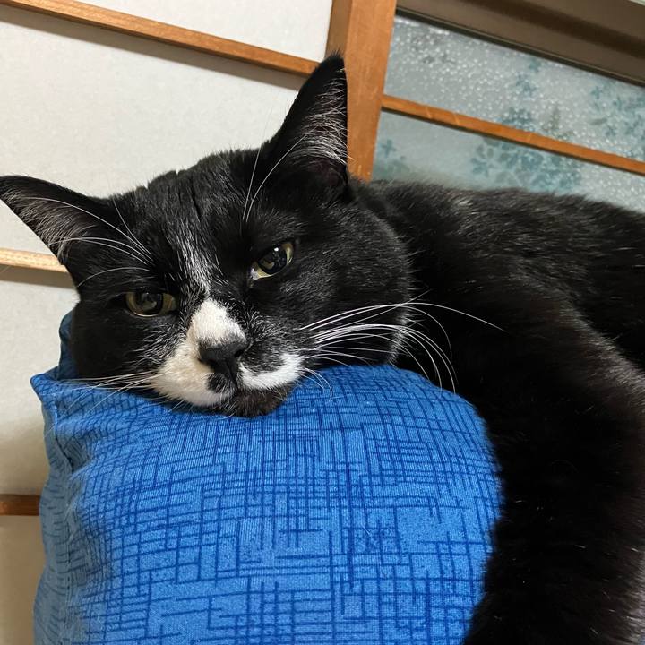 328f8012 99c3 4ec6 a014 ad4cb537993a 1686022265862