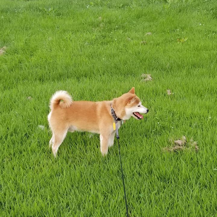 328f811a 1070 418e 894b dcc7f79f918d 1597050601416