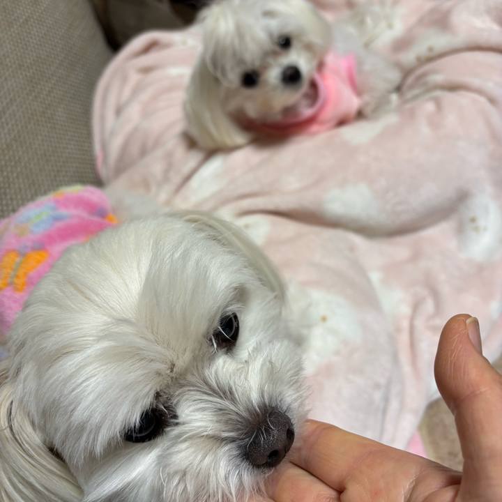 328f8182 a235 4807 8b06 afc33812069b 1736502367528