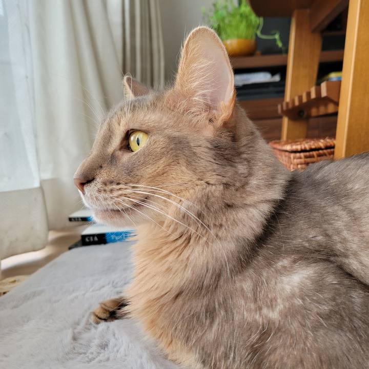 328f94db cb4f 4349 a276 8478c702bac4 1644108730397