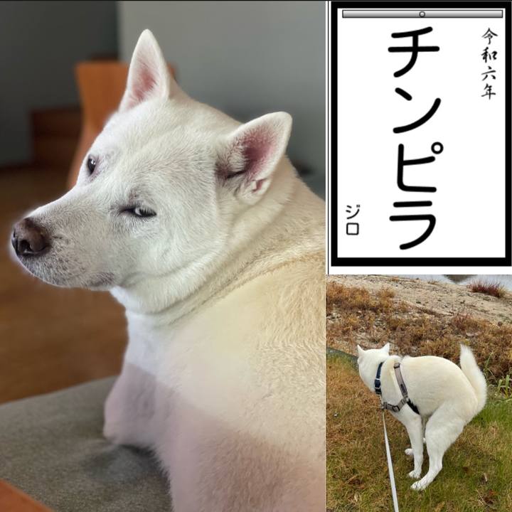 328fb403 80da 4cba aef6 8a5d220314dd 1704880908735