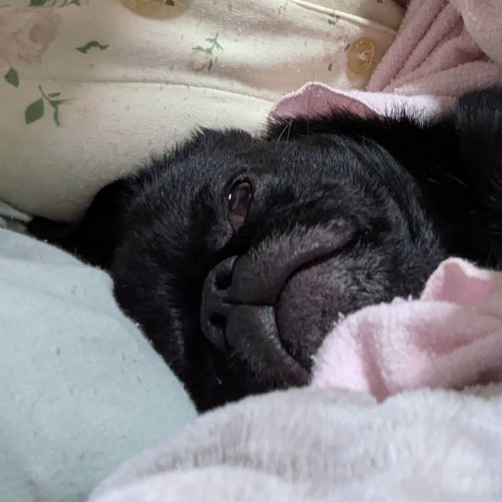 328fb8c3 f8d5 49a4 97df 17c4aeb285b8 1764767339658