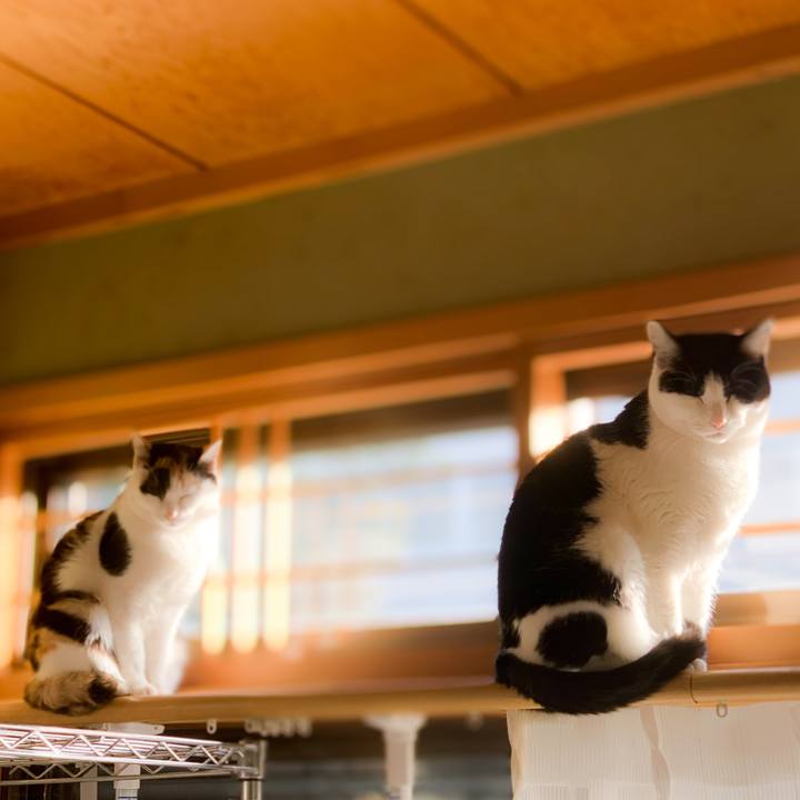 328fc218 6fa9 4cd0 bf09 f448f4c8a039 1589505555064