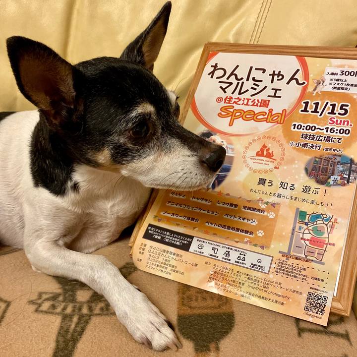 328fd840 a023 4667 b027 4c36b17573f8 1602928530005