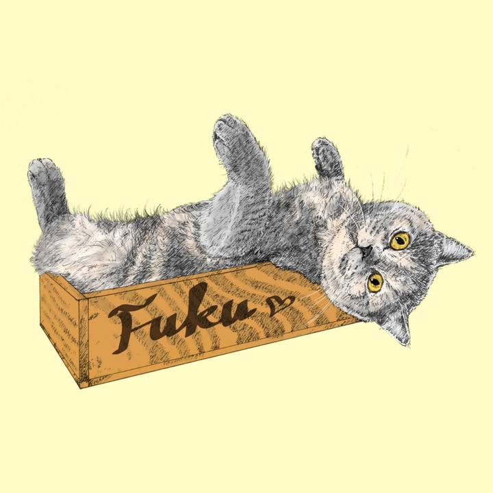 328fd9d0 4c28 45a1 b612 8f2e828b796a 1578970310672