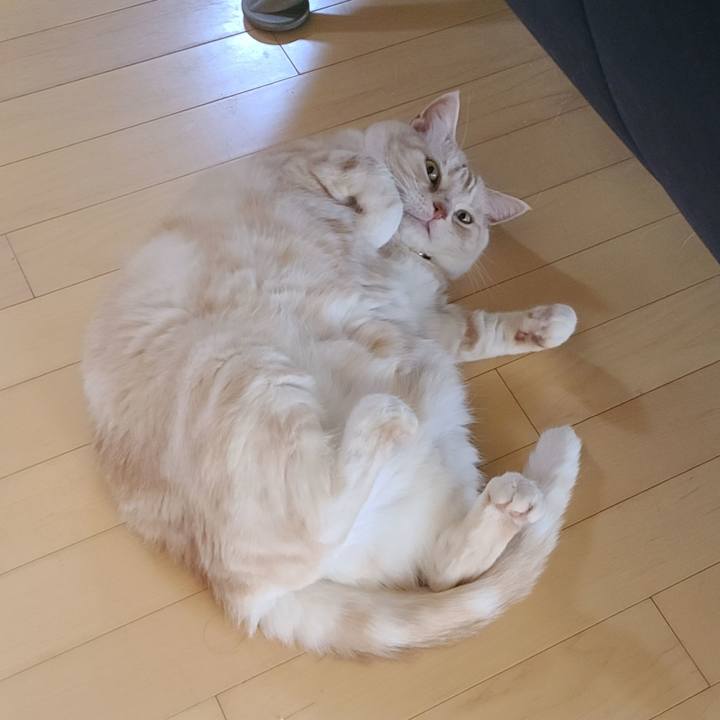 328fe5ce 7f45 4b4e a39d d4b9657f5670 1626078128889