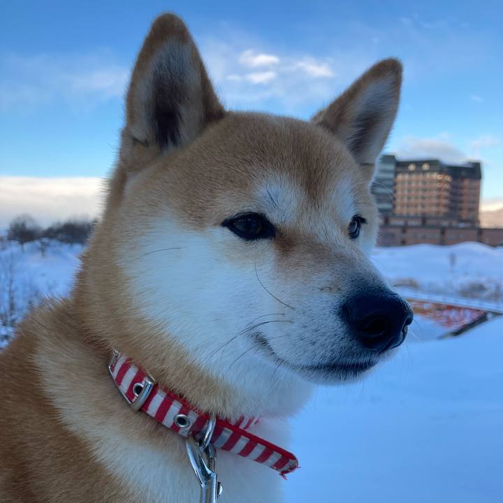 329001ae 58c4 4448 b75e 03d5637e0601 1640524671529